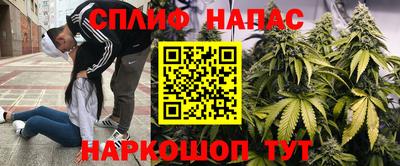 apvp Бузулук